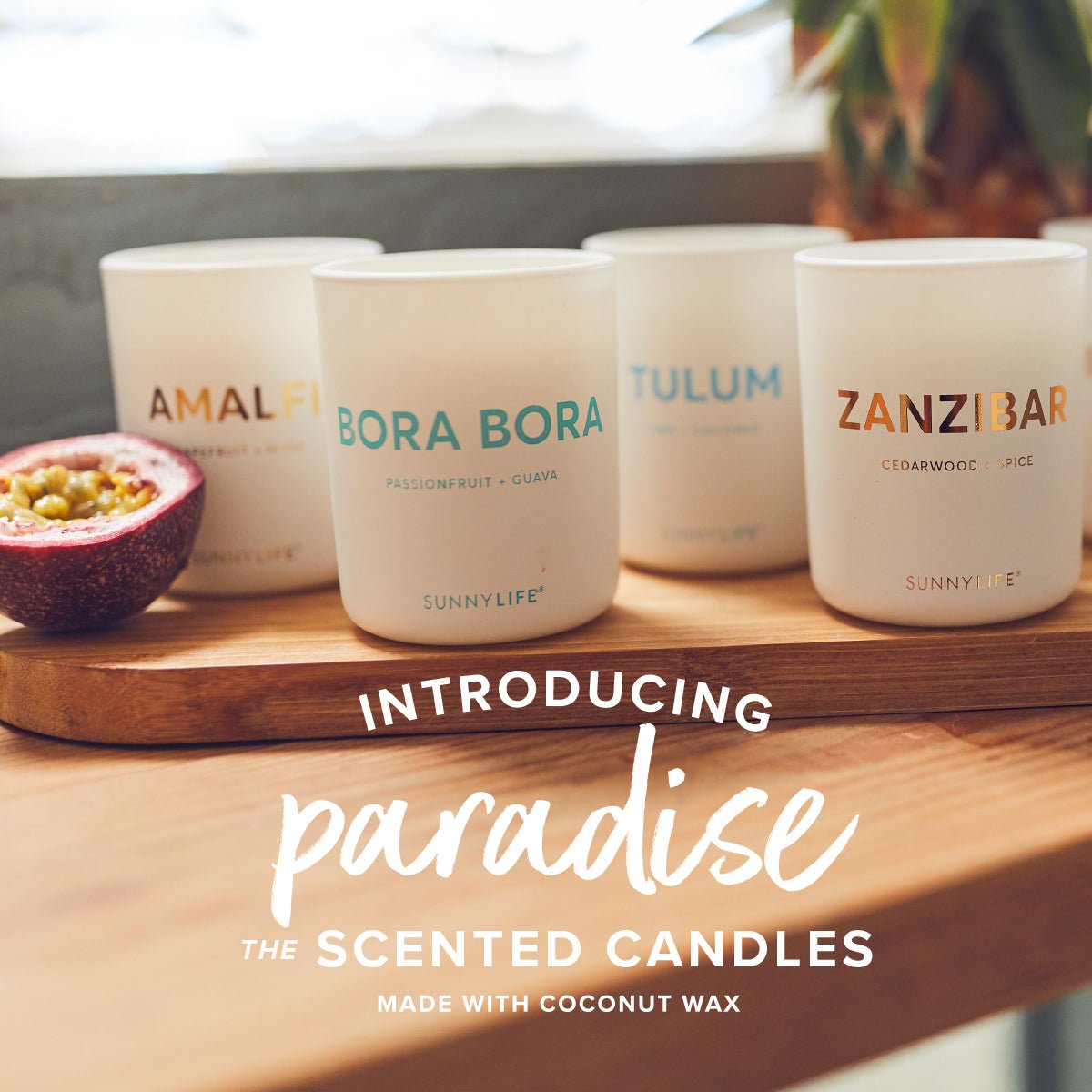Introducing Paradise | The Scented Candles - SUNNYLiFE UK