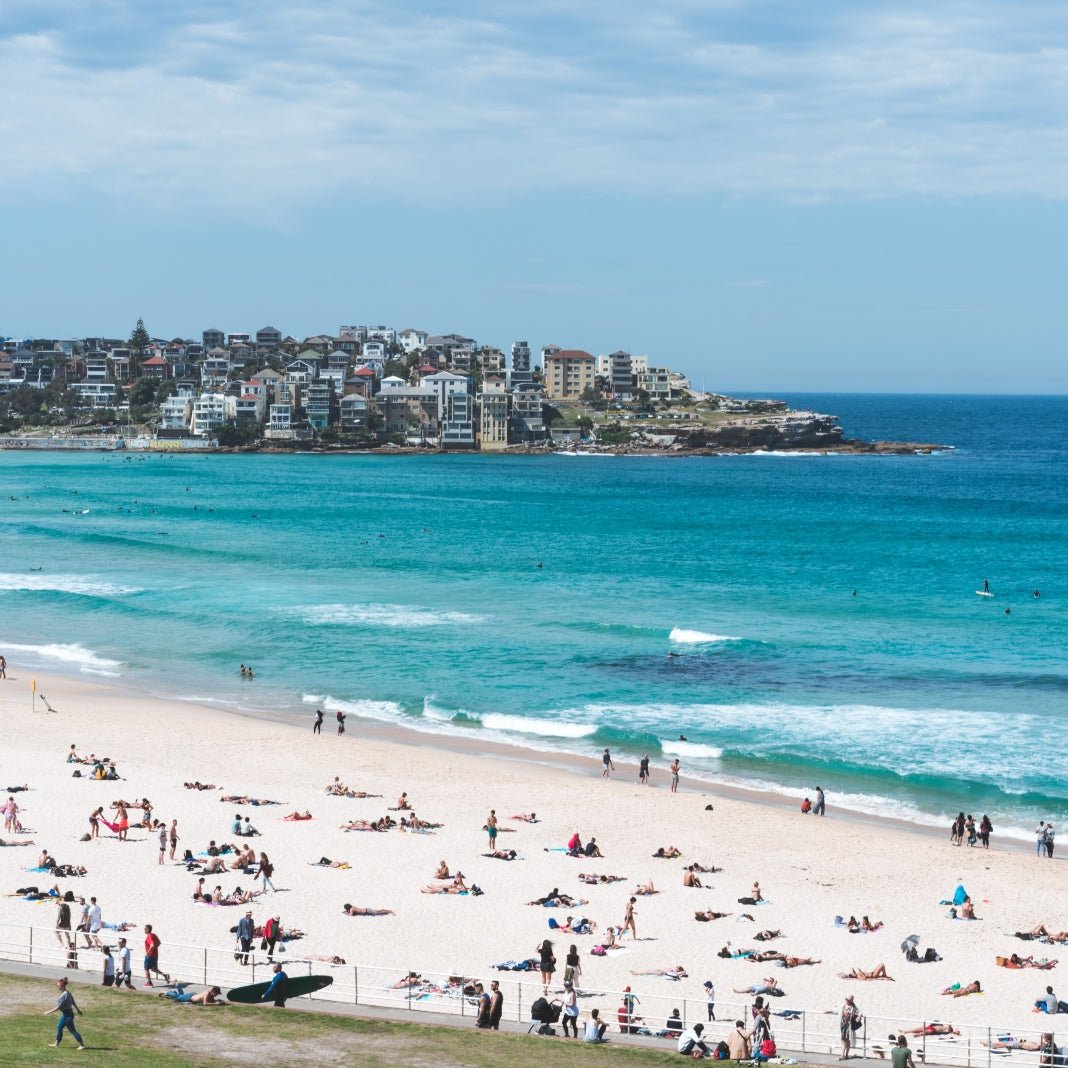 Introducing SUNNYLiFE X Daimon Downey - SUNNYLiFE UK