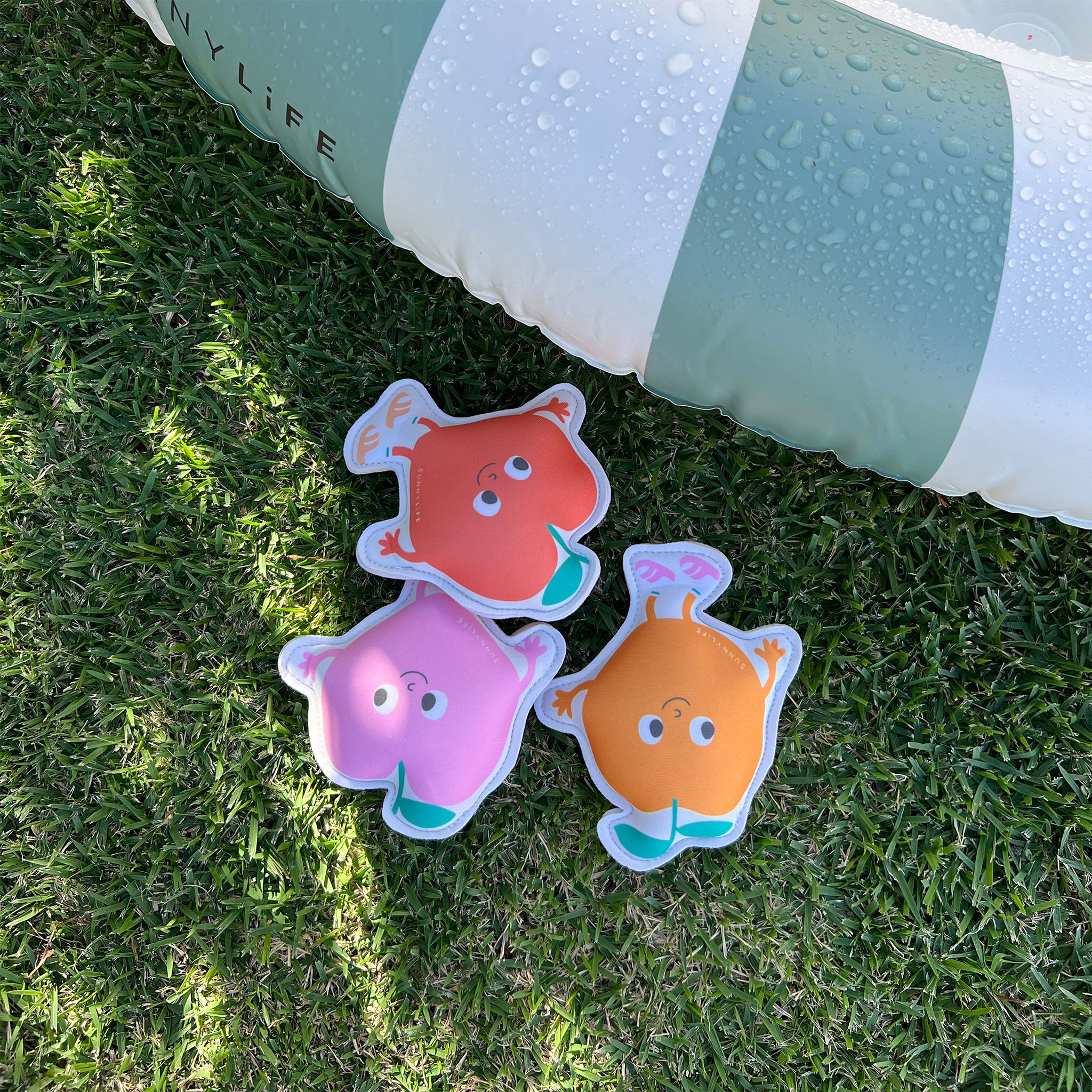 Dive Buddies - Poppy the Peach Set of 3