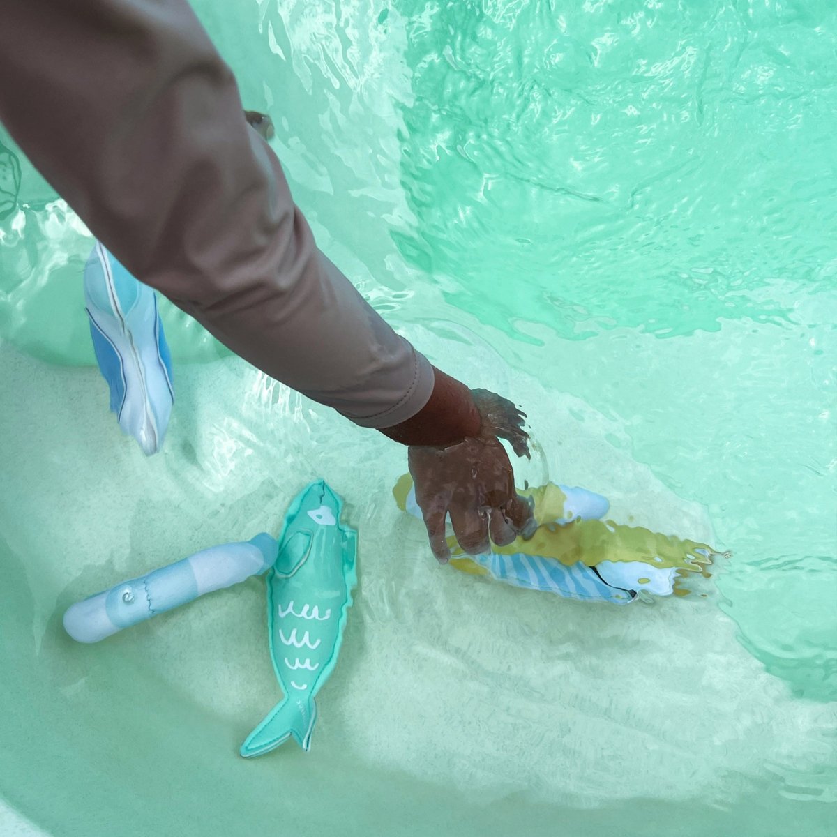 Dive Buddies 6 - Sammy the Seagull - SUNNYLiFE UK