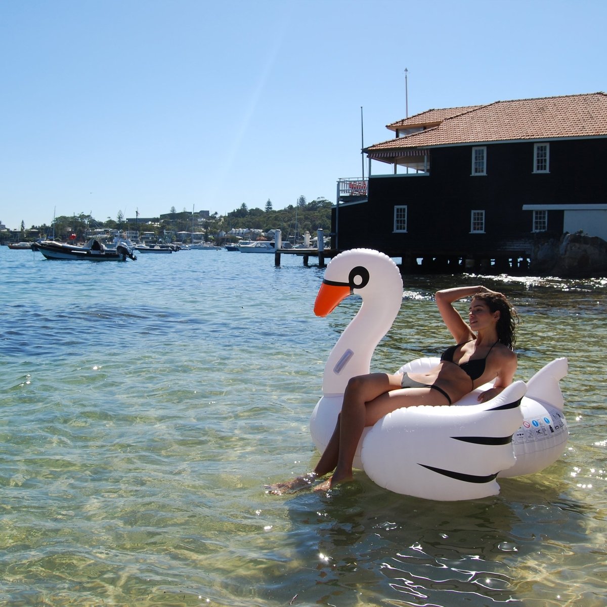 Original Luxe Ride - On Float Swan - SUNNYLiFE UK