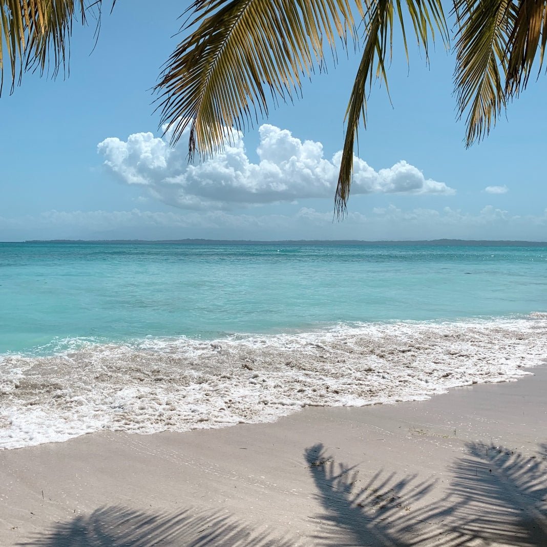 50 SUMMER BUCKET LIST IDEAS - SUNNYLiFE UK