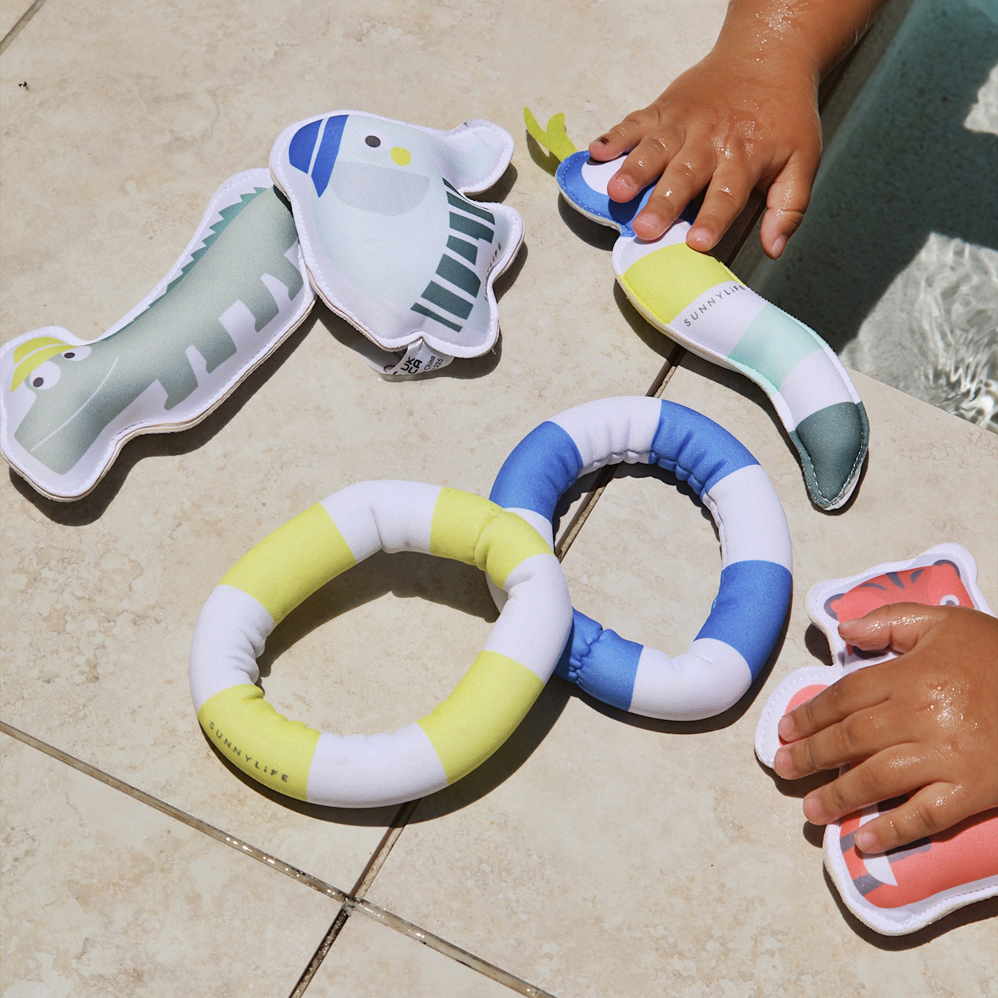 Dive Buddies Set of 6 - Into the Jungle