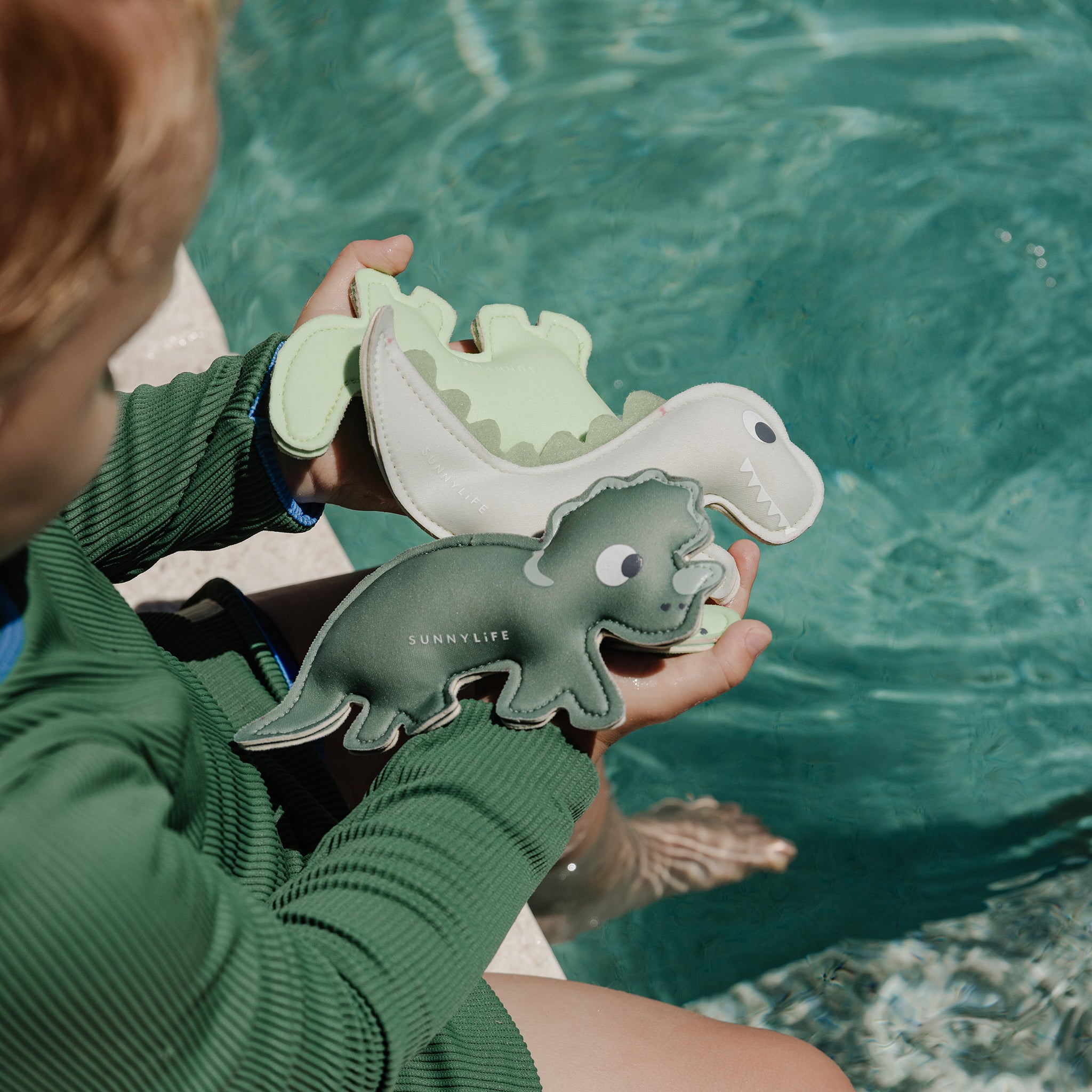 Dive Buddies - Dino Multi