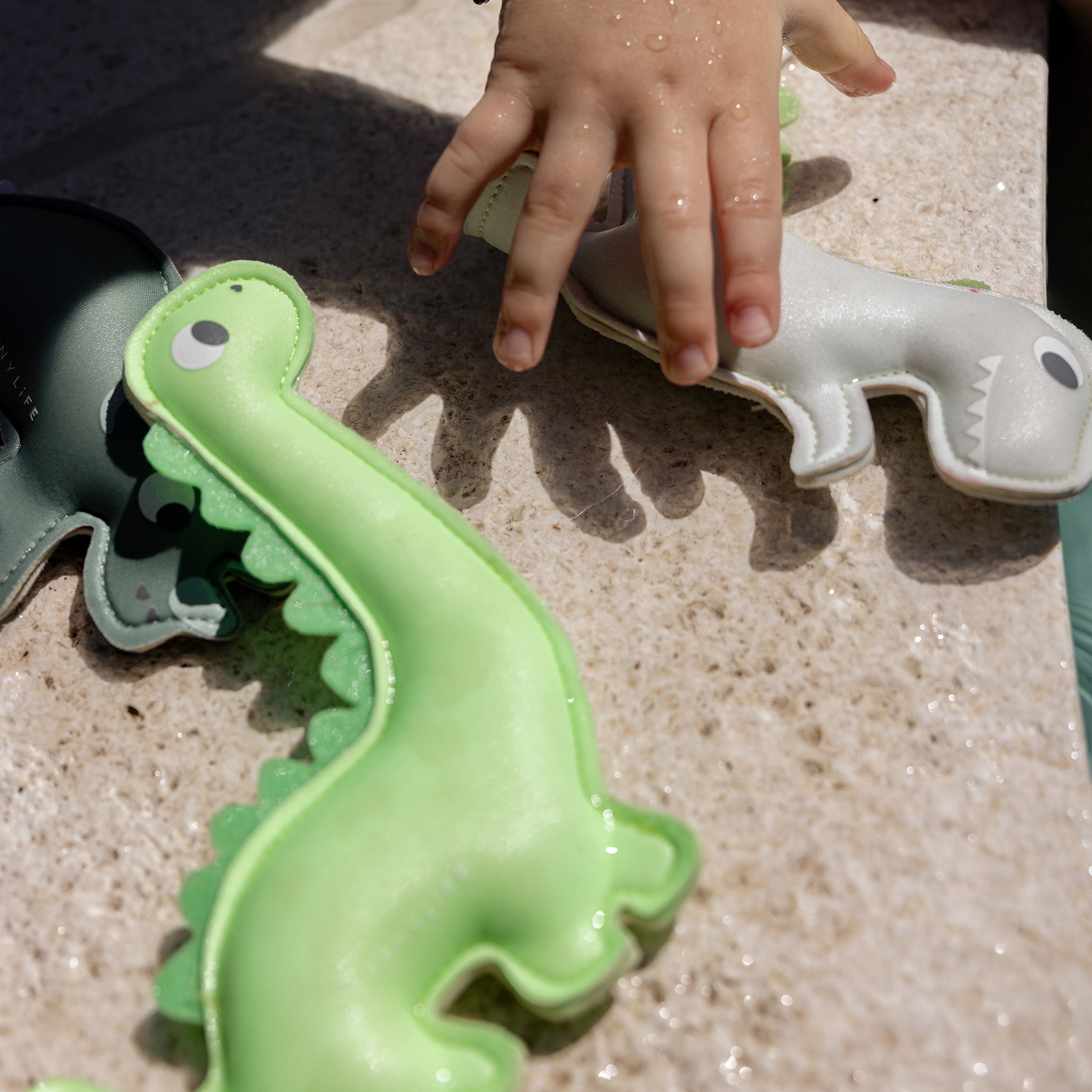Dive Buddies - Dino Multi