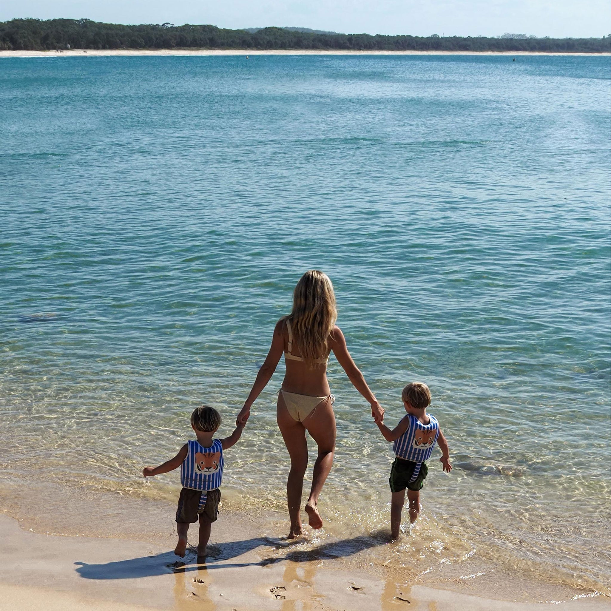 Kids Swim Vest 2-3 - Tino the Tiger Blue