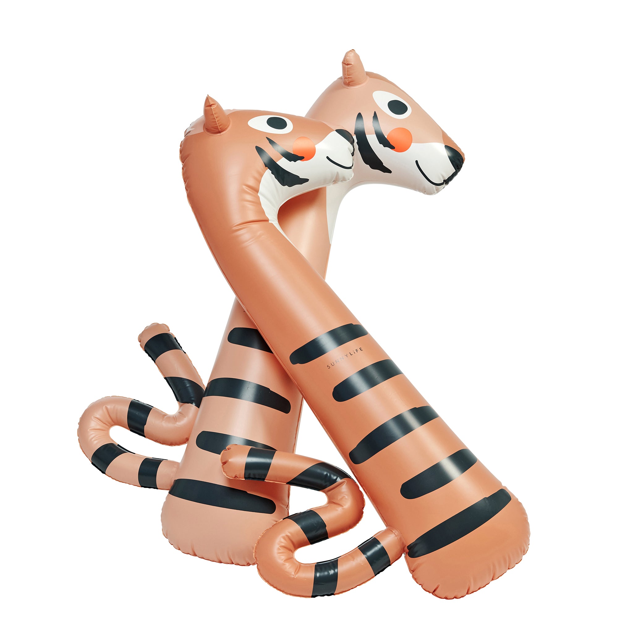 Kids Inflatable Noodle - Tino the Tiger Clay Set of 2