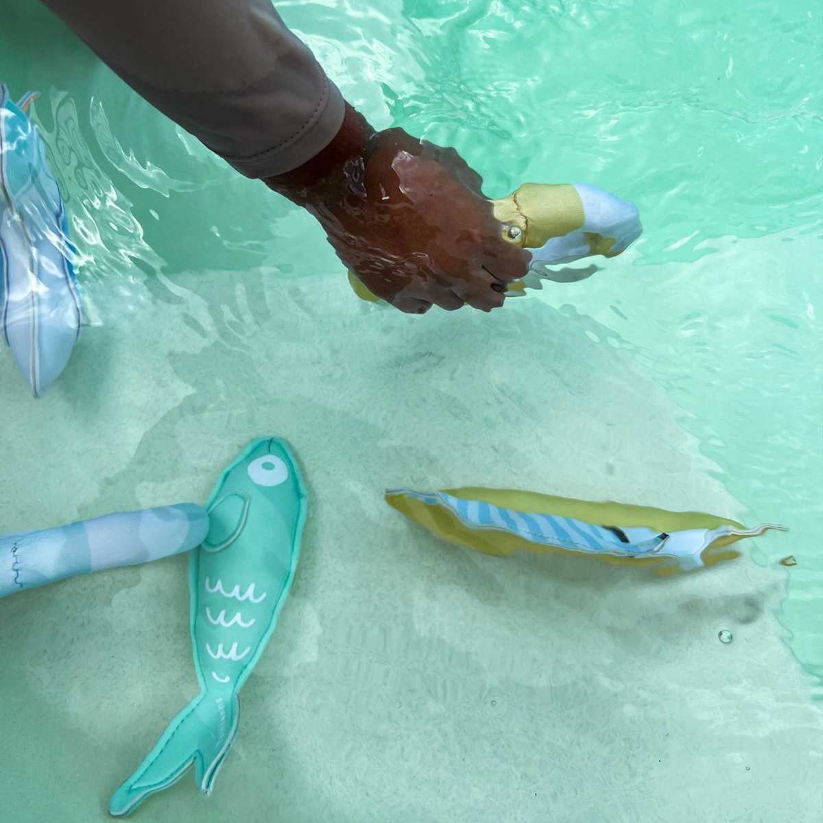 Dive Buddies 6 - Sammy the Seagull - SUNNYLiFE UK