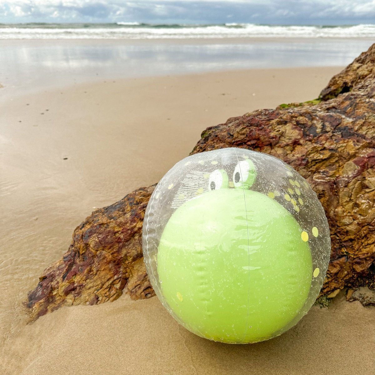 3D Inflatable Beach Ball - Cookie the Croc - SUNNYLiFE UK