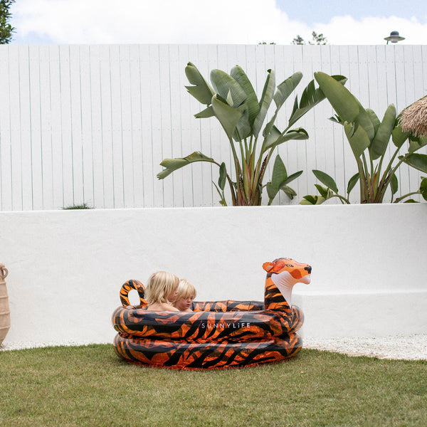 Backyard Pool | Tully the Tiger